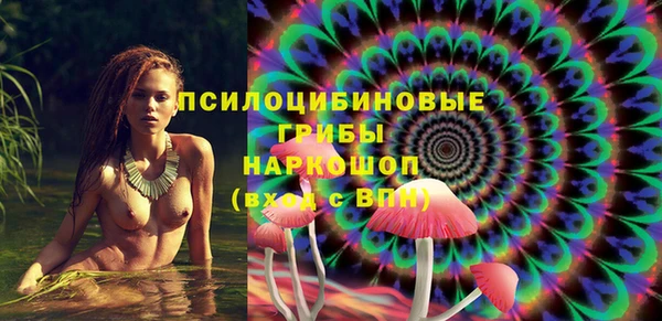 СК Козловка